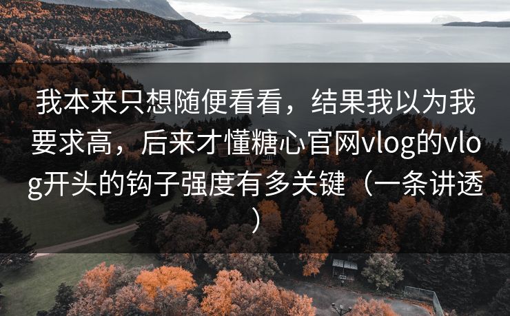 我本来只想随便看看，结果我以为我要求高，后来才懂糖心官网vlog的vlog开头的钩子强度有多关键（一条讲透）  第1张
